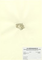 藏品(細粉枝藻)的圖片